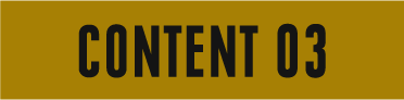 CONTENTS 03